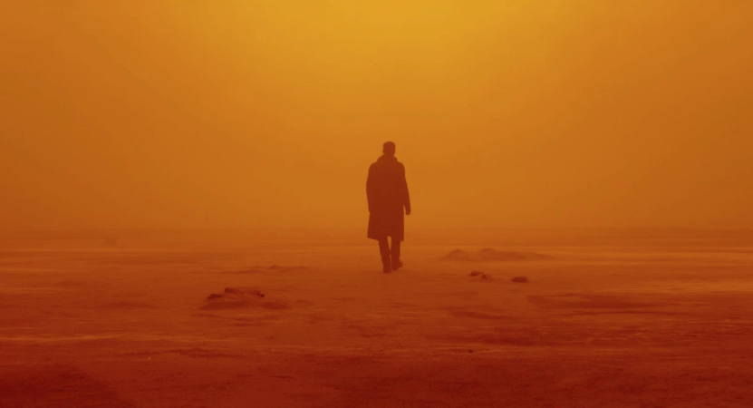 /film_images/blade runner 2049 _ 1.jpg